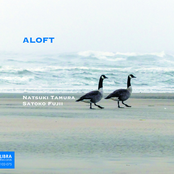 Aloft
