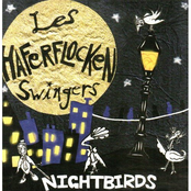 Night Birds by Haferflocken Swingers