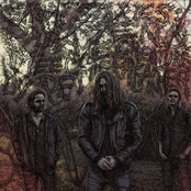 Short Stories: Papa Zen & Meet the Creature