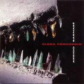 A Saga de Clara Crocodilo