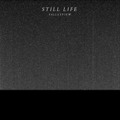 Valleyview: Still Life