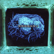 究極擬態生物β