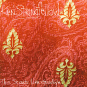 Ken Stringfellow: This Sounds Like Goodbye