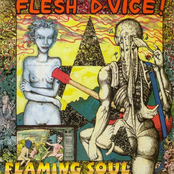 The Warning by Flesh D-vice