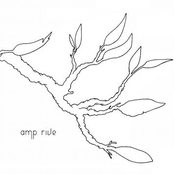 amp rive