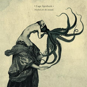 Hushed are the Wounds