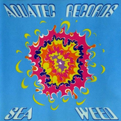 Sea Weed
