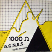 A.g.n.e.s. by 1000 Ohm