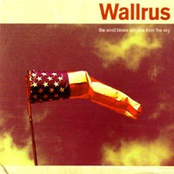 Blues Tales by Wallrus