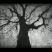 AVALON_MUSIC_COLLECTION