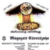 Az utolsó szó jogán