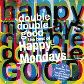 Double Double Good: The Best of The Happy Mondays