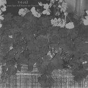 your lips will haunt me forever