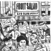 Terminal Youth & Fruit Salad Split - EP