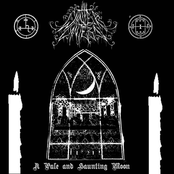 A Pale and Haunting Moon