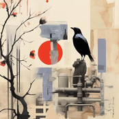 the meaning of, & all things regarding jarvis m. buschwick