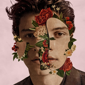 Shawn Mendes: Shawn Mendes