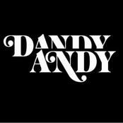 dandy andy