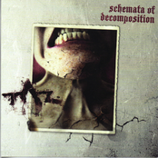 Schemata of Decomposition