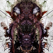 Ungewünscht und doch bin ich Er