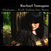 Rachael Yamagata: Elephants...Teeth Sinking Into Heart