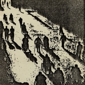 Le Défilé Des Épaves