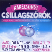 Karácsonyi Csillagszórók