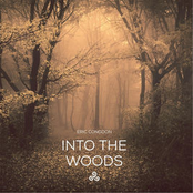 Eric Congdon: Into the Woods
