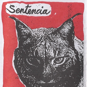 sentencia