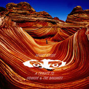 Desert Kisses, A Tribute to Siouxsie and The Banshees