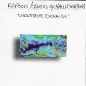 rapoon / census of hallucinations