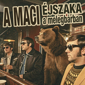 Éjszaka a melegbárban