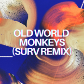 Old World Monkeys (Surv Remix)