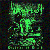 Divinity of Death LP