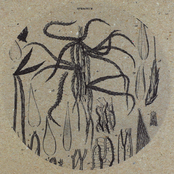 Sphagnum - Soundtrack To Translocations