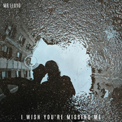 i wish you're missing me