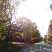 an unwanted departure (demo)