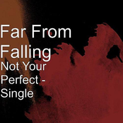 Not Your Perfect - Single