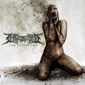 Ingested: The Surreption