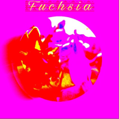 Fuchsia - EP