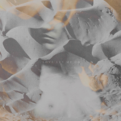 Love Let Me Go (2016)