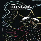 The Bongos: Numbers With Wings