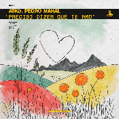 Preciso Dizer Que Te Amo