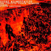 codex alimentarius