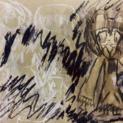 Sixtlyfive's thousand doves 🕊🕊