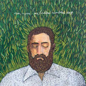 Iron and Wine: 2005-06-11: Bonnaroo Festival, TN, USA (disc 2)