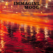 Immagini Moog