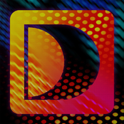 Black Bird