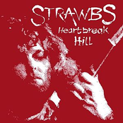 Two Separate People by Strawbs