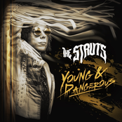 The Struts: YOUNG&DANGEROUS